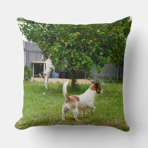 Fox Terrier Playtime Large Lounge Throw Cushion