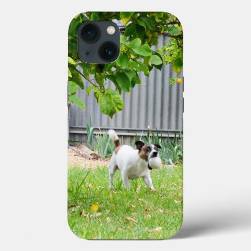 Fox Terrier Scare Face  iPhone 13 case