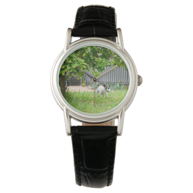 Fox Terrier Scare Face Ladies Black Leather Watch (Front)