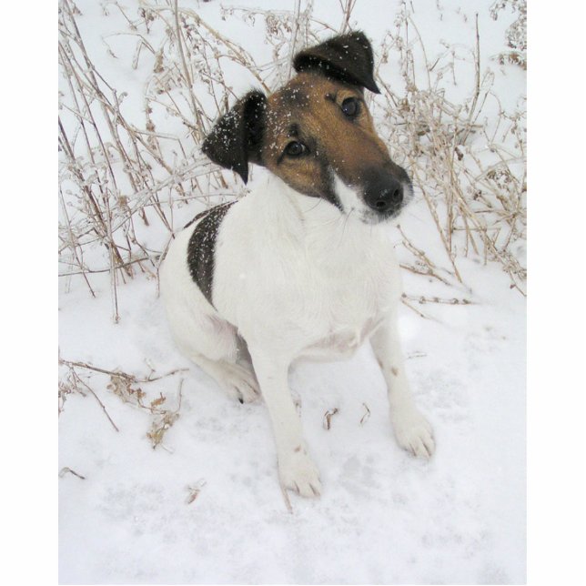 Fox_terrier_smooth in snow statuette (Front)