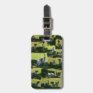Fox Terrier, The Hard Day, Luggage Tag