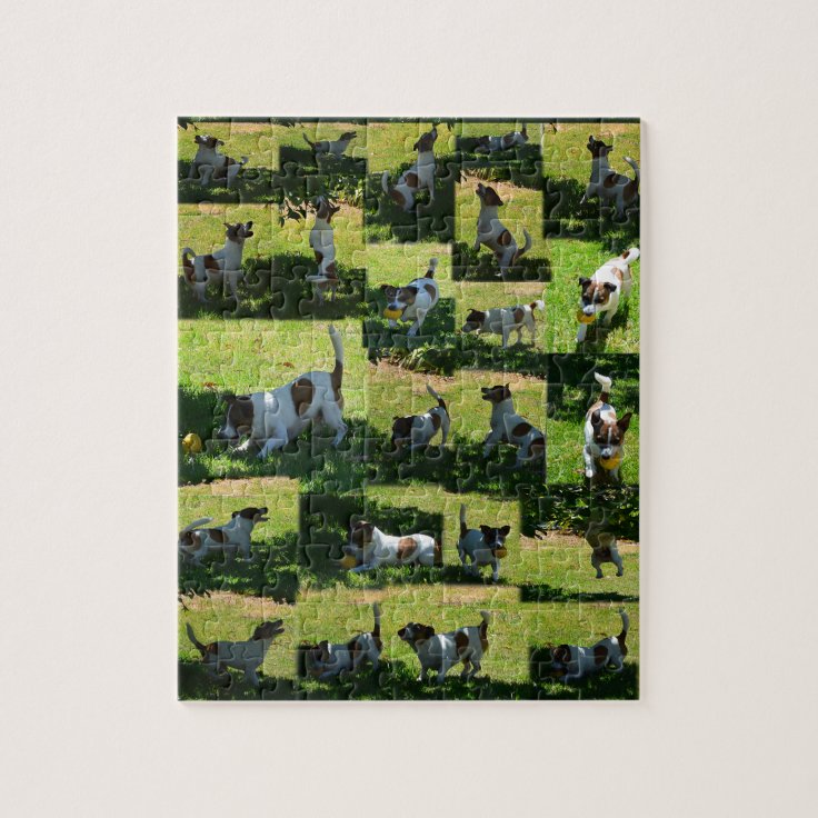 Fox Terrier, The Hard Day, Photo Collage, Jigsaw Puzzle | Zazzle