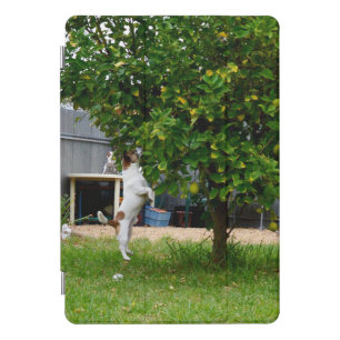 Fox Terrier The Leap, iPad Case