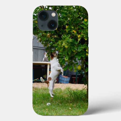 Fox Terrier The Leap iPhone 13 Case