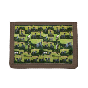 Fox Terrier The Long Hard Day Photo Collage, Tri-fold Wallet
