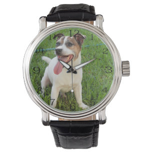 Fox Terrier, Tongue In Cheek,  Watch