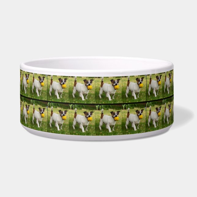 Fox Terrier With His Ball In A Pattern, Large Dog Bowl (Front)