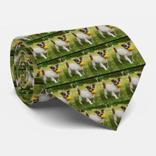 Fox Terrier With His Ball Pattern, Neck Tie