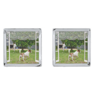 Fox Terriers Exploring The Garden,  Cufflinks