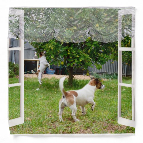 Fox Terriers Play Outside My Window Bandana