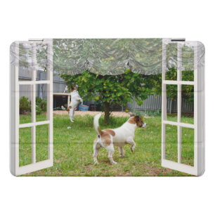 Fox Terriers Play Outside My Window, iPad Case