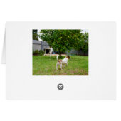 Fox Terriers Play Time, Cards (Back Horizontal)