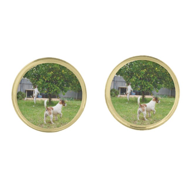 Fox Terriers Playing In The Garden, Cufflinks (Front)