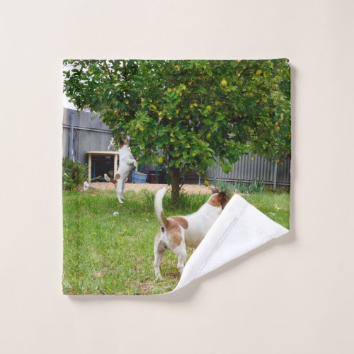 Fox Terriers Playing In The Garden Wash Cloth