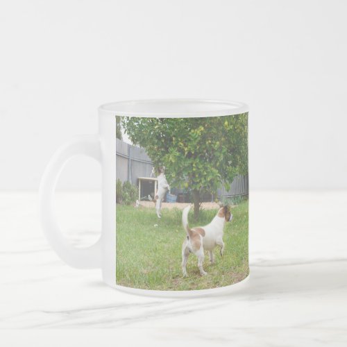Fox Terriers Playtime Frosted Glass Mug