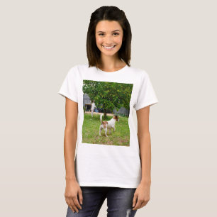 Fox Terriers Playtime, Ladies White T-shirt