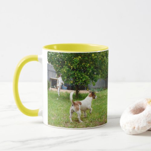 Fox Terriers Playtime Yellow Combo Coffee Mug