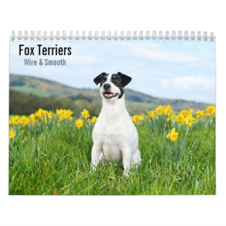 Fox Terriers Wire & Smooth 2027 Calendar