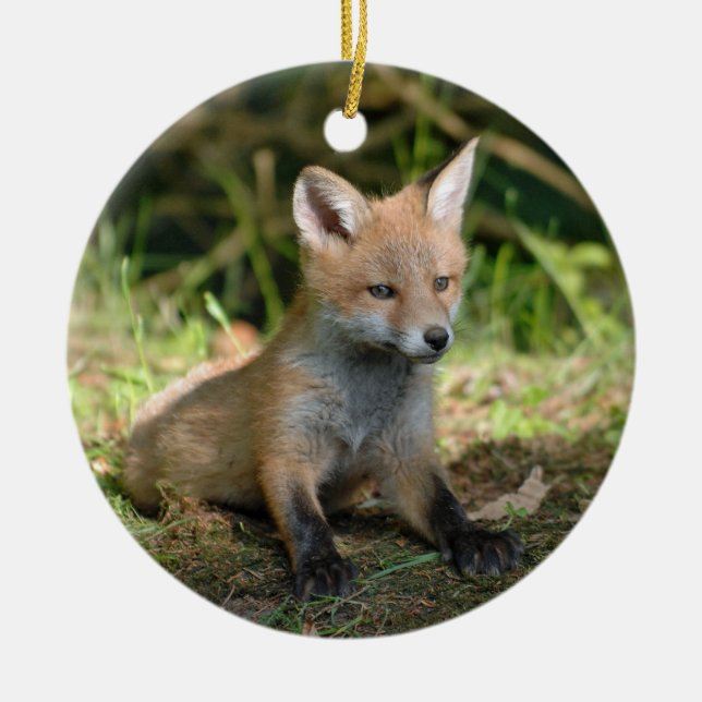 Fox Wildlife Photo Ceramic Ornament (Front)