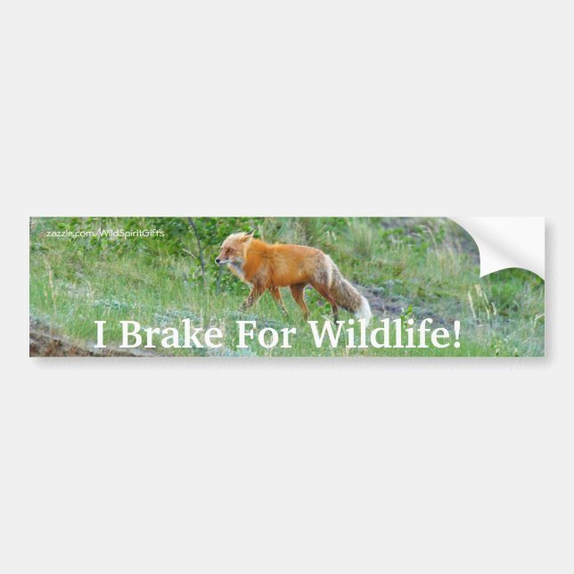 Fox Wildlife Protection Bumper Sticker (Front)