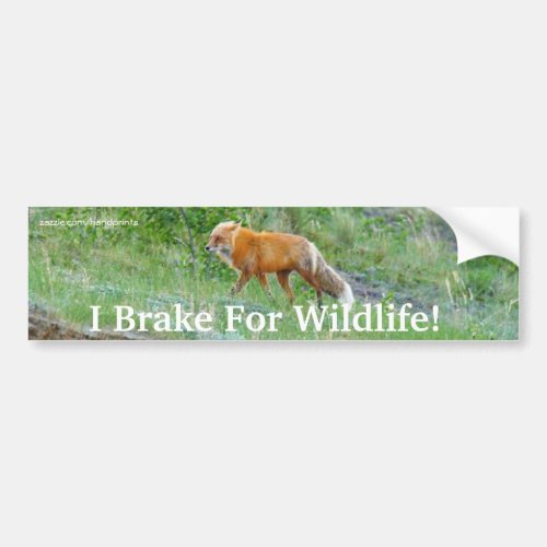 Fox Wildlife Protection Bumper Sticker