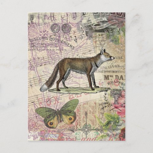 Fox Wildlife Vintage Animal Illustration  Postcard