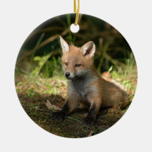 Fox Wildlife Wild Animals Ceramic Ornament