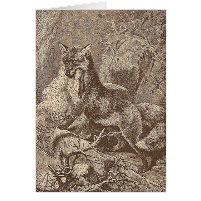 Fox With His Kill Cards (Front)