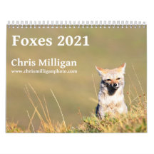 Foxes 2021 by Chris Milligan