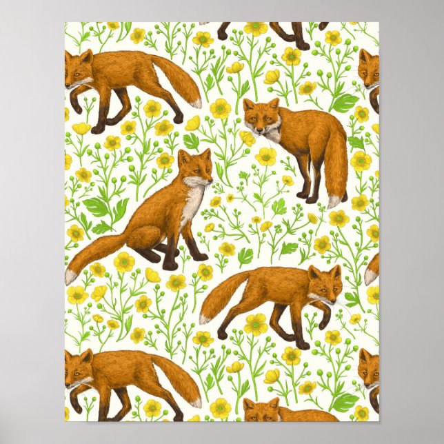 Foxes and buttercups on natural white poster (Front)