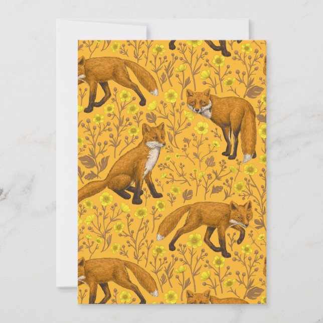 Foxes and buttercups on orange (Front)