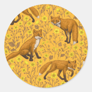 Foxes and buttercups on orange classic round sticker