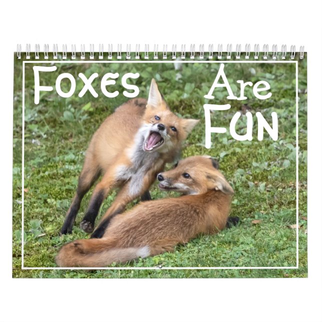 Foxes Are Fun Calendar (Cover)