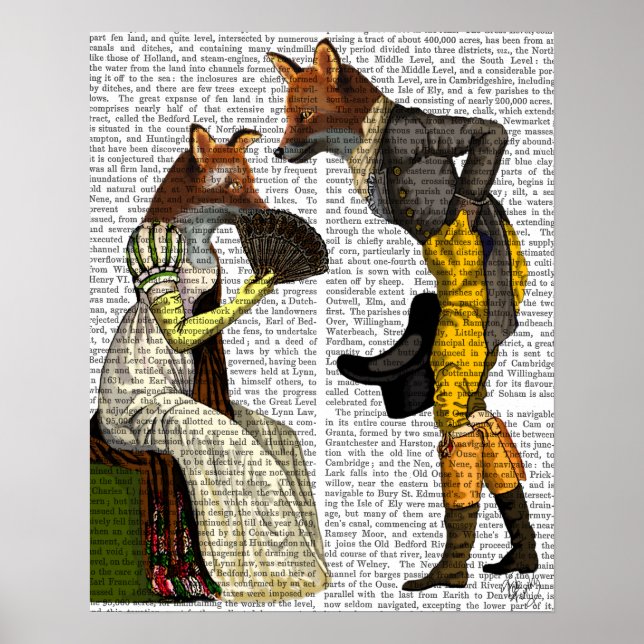 Foxes Courting Poster (Front)