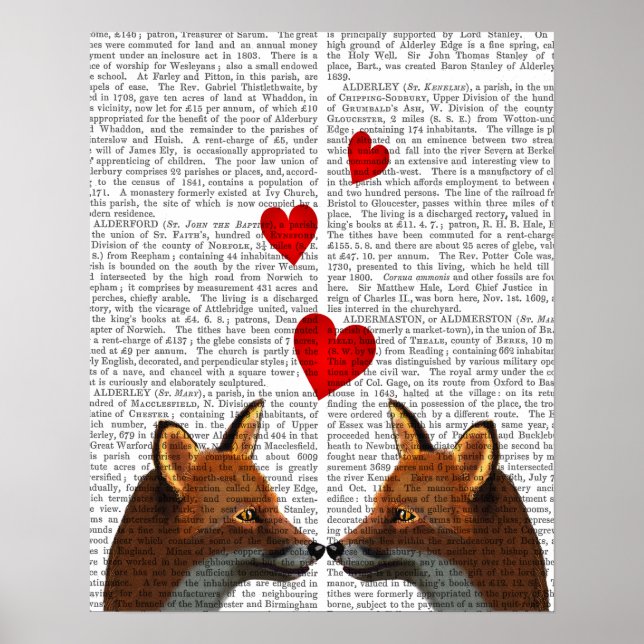 Foxes in Love Poster (Front)