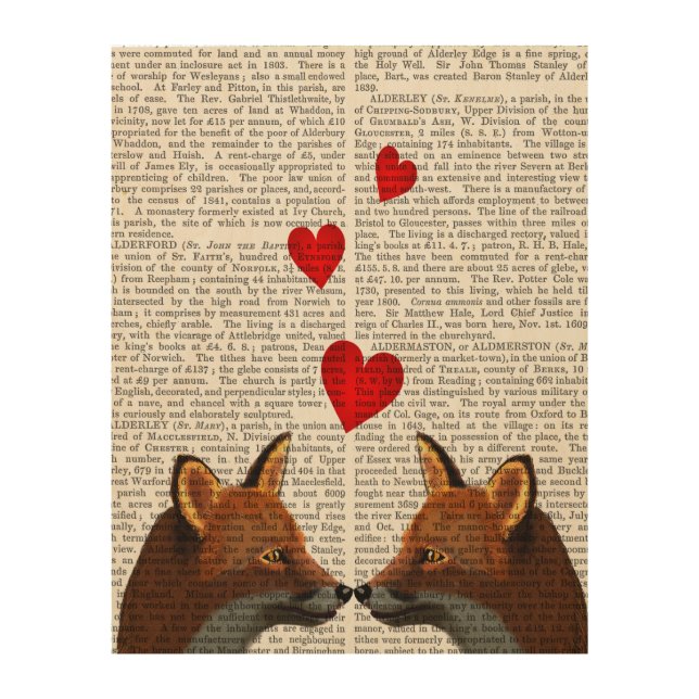 Foxes in Love Wood Wall Art (Front)
