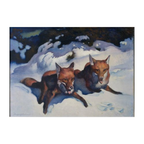 Foxes in Snow  Acrylic Print