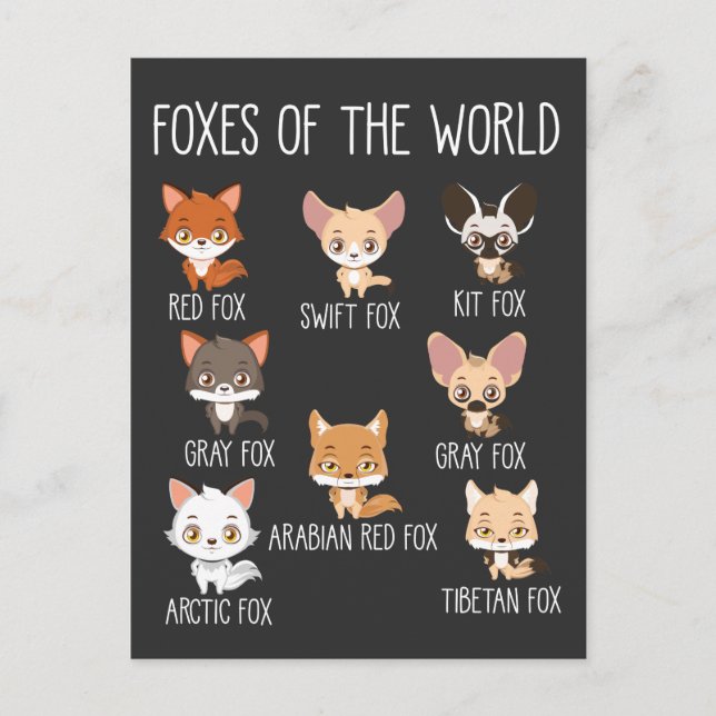 Foxes Of The World Gift for Fox Lover Postcard (Front)