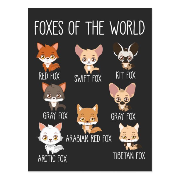 Funny Fox Gifts On Zazzle