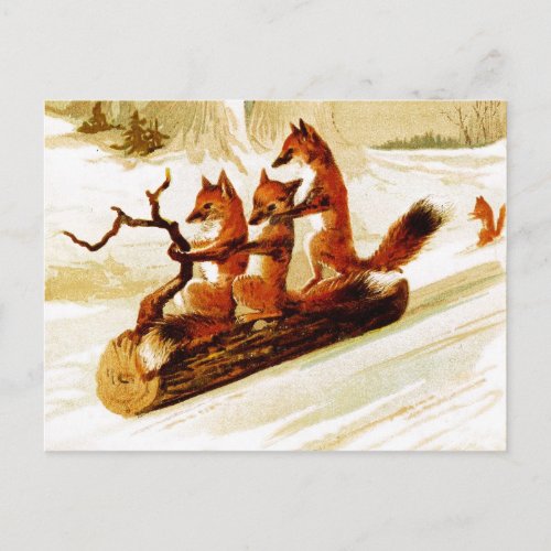 Foxes Sledding through the Snow on a Log Postcard