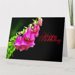 Foxglove & Bee Birthday Card