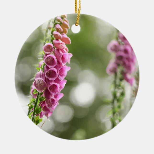 Foxglove Blossom Nature Photo Ceramic Ornament (Front)