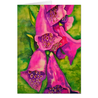 Foxglove Cards