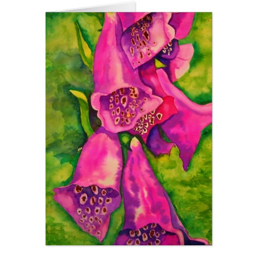Foxglove Cards (Front)