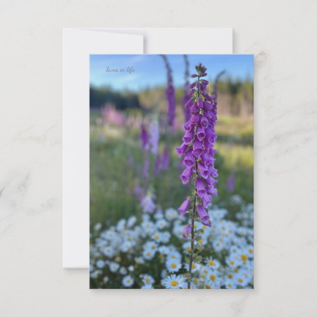 Foxglove & Daisies  Note Card (Front)