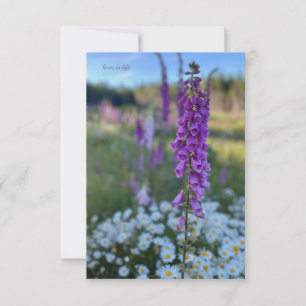 Foxglove & Daisies Note Card