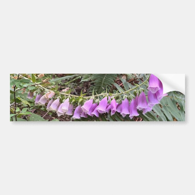 Foxglove flower photo bumper sticker (Front)