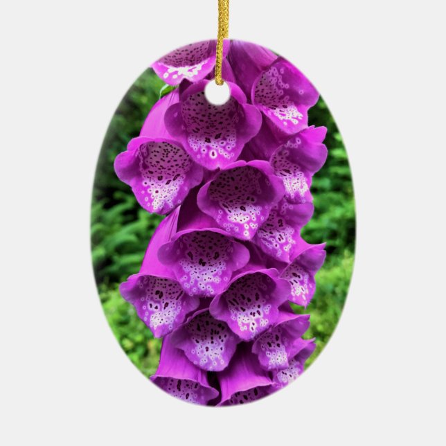 Foxglove Flowers, Oregon Ceramic Ornament (Front)
