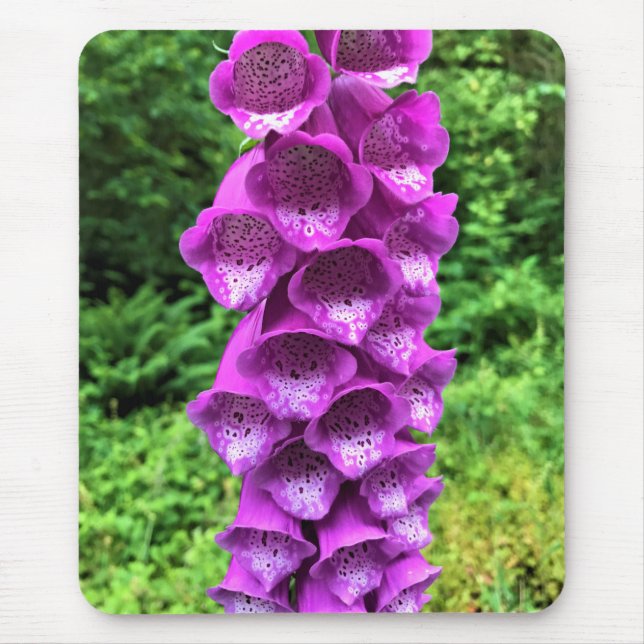 Foxglove Flowers, Oregon Mouse Pad (Front)