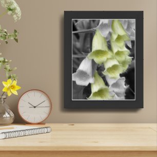 Foxglove Flowers Partial Color Framed Art